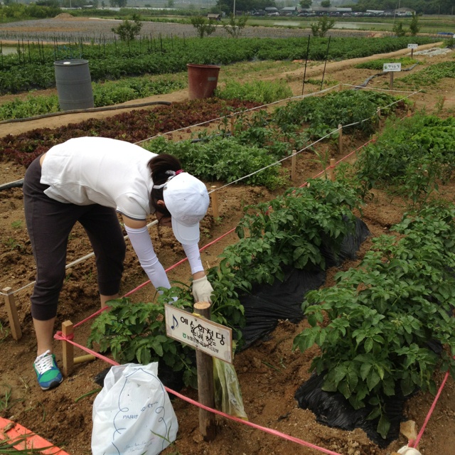 Agriculture